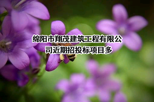 绵阳市翔茂建筑工程有限公司