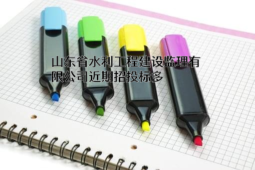 山东省水利工程建设监理有限公司