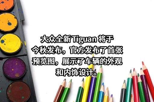 大众汽车（中国）投资有限公司