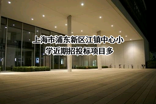 上海市浦东新区江镇中心小学