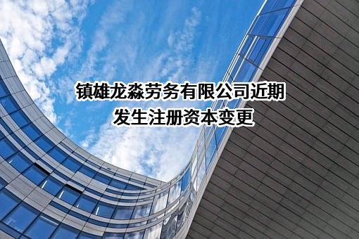 镇雄龙淼劳务有限公司