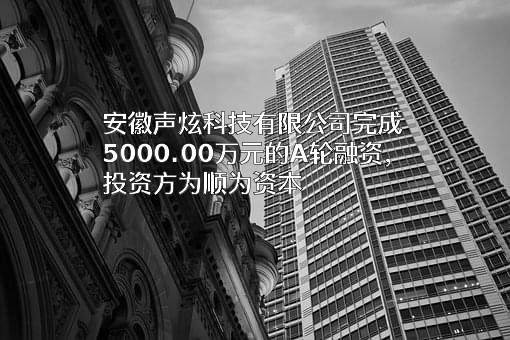 安徽声炫科技有限公司