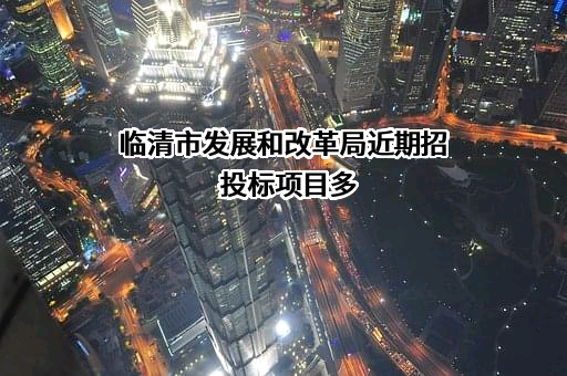 临清市发展和改革局