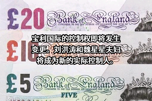 江苏宝利国际投资股份有限公司