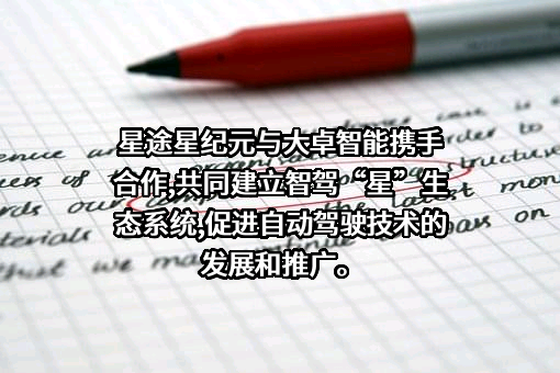 沈阳市星途汽车服务有限公司
