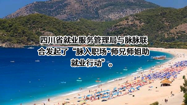 北京淘友天下技术有限公司