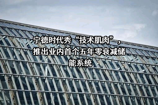 宁德时代新能源科技股份有限公司