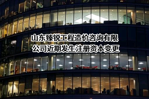 山东臻锐工程造价咨询有限公司