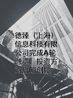 德臻(上海)信息科技有限公司