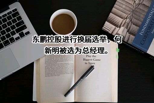 东鹏控股股份有限公司