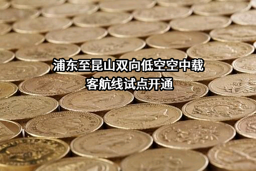 上海新空直升机有限公司
