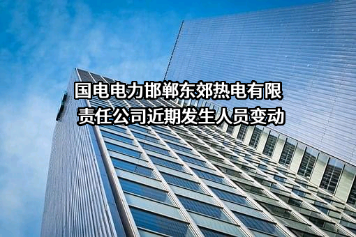 国电电力邯郸东郊热电有限责任公司
