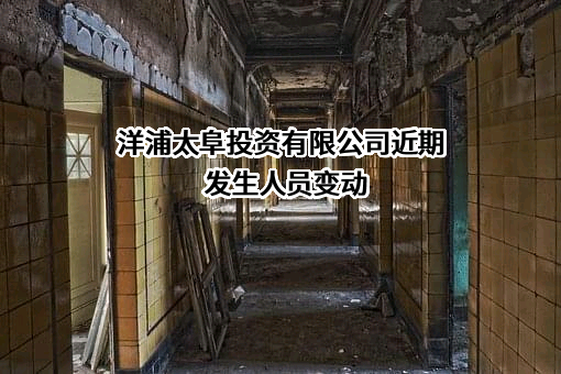 洋浦太阜投资有限公司
