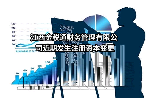 江西金税通财务管理有限公司