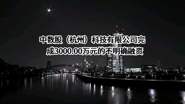 中数股（杭州）科技有限公司完成3000.00万元的不明确融资