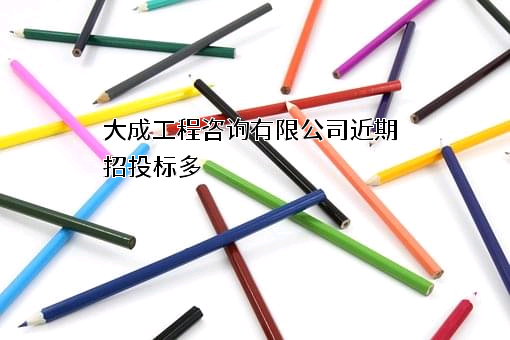 大成工程咨询有限公司