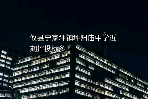 攸县宁家坪镇坪阳庙中学近期招投标项目多