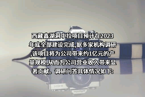 云南驰宏锌锗股份有限公司