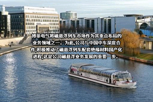浙江博菲电气股份有限公司