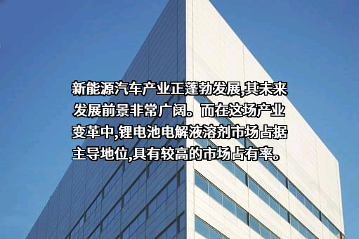 山东海科新源材料科技股份有限公司