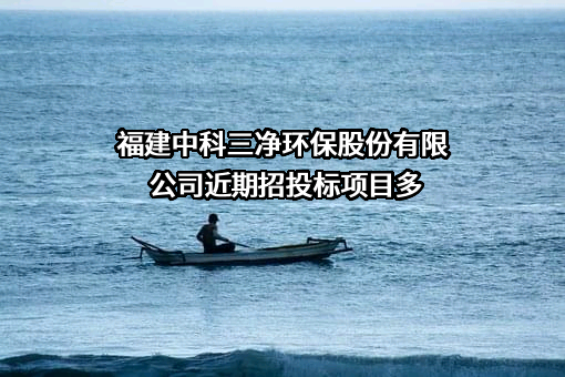 福建中科三净环保股份有限公司
