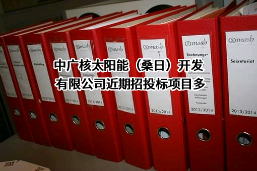 中广核太阳能（桑日）开发有限公司近期招投标项目多