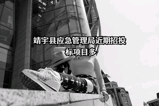 靖宇县应急管理局