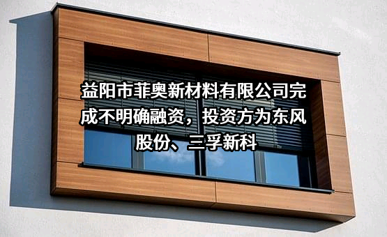 益阳市菲奥新材料有限公司