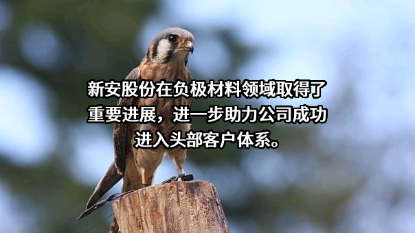 浙江新安化工集团股份有限公司