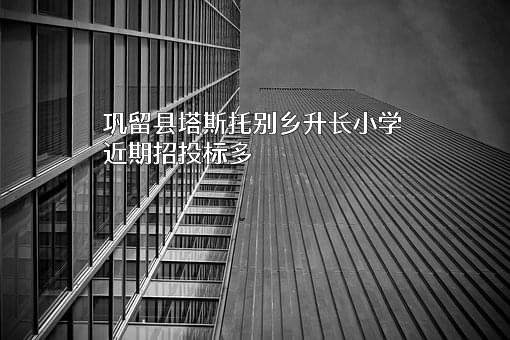 巩留县塔斯托别乡升长小学