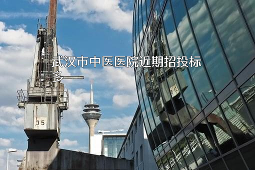 武汉市中医医院