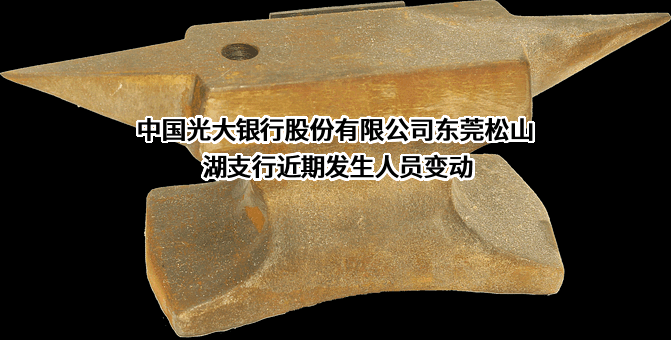中国光大银行股份有限公司东莞松山湖支行