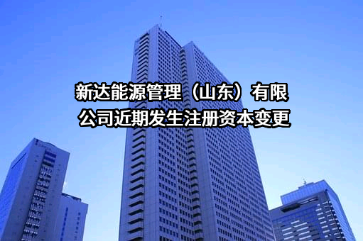 新达能源管理（山东）有限公司