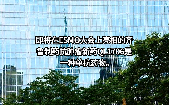 齐鲁制药有限公司