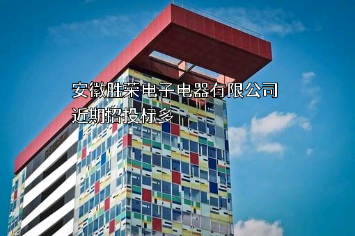 安徽胜荣电子电器有限公司