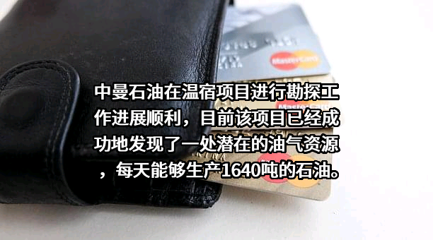 中曼石油天然气集团股份有限公司