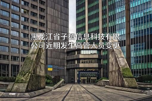 黑龙江省子橘信息科技有限公司