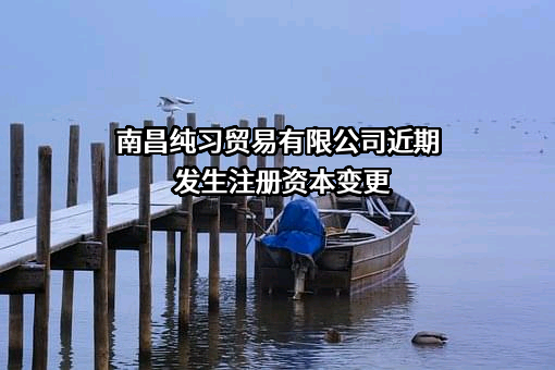 南昌纯习贸易有限公司
