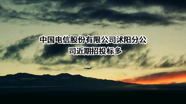 中国电信股份有限公司沭阳分公司