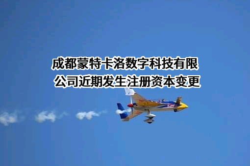 成都蒙特卡洛数字科技有限公司
