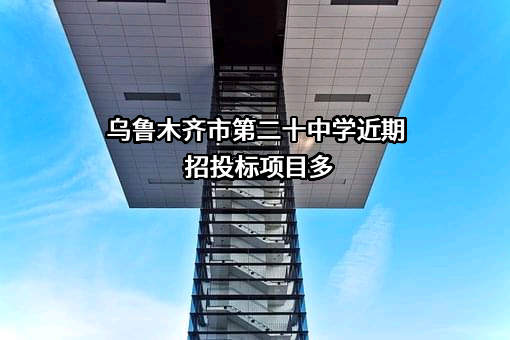 乌鲁木齐市第二十中学
