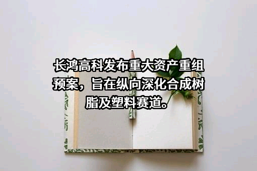 宁波长鸿高分子科技股份有限公司