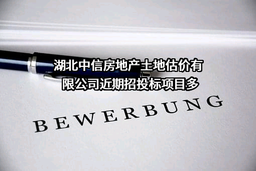 湖北中信房地产土地估价有限公司近期招投标项目多