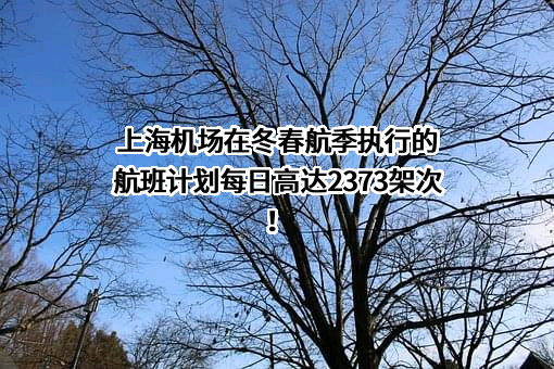 上海国际机场股份有限公司