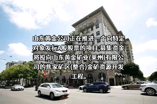 山东黄金矿业（莱州）有限公司