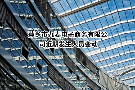 萍乡市九麦电子商务有限公司