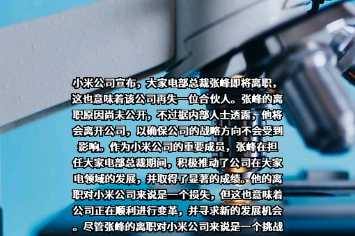 小米科技有限责任公司