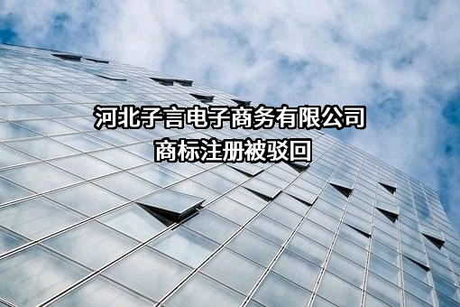 河北子言电子商务有限公司商标注册被驳回