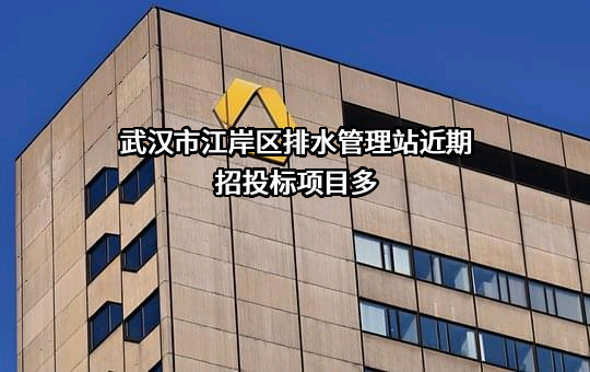 武汉市江岸区排水管理站