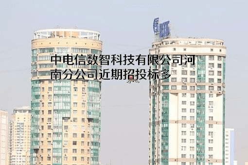 中电信数智科技有限公司河南分公司